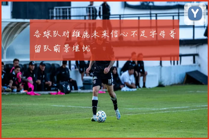 各球队对雄鹿未来信心不足字母哥留队前景堪忧